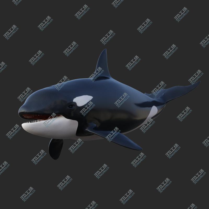 images/goods_img/2021040234/3D Animated Killer Whale model/2.jpg